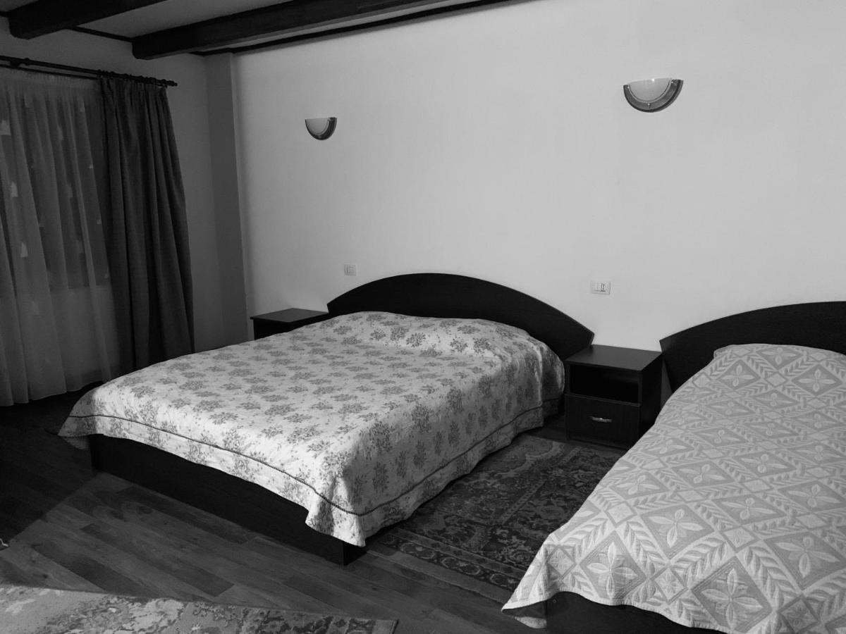 Pensiunea Pietrosul Borşa Εξωτερικό φωτογραφία