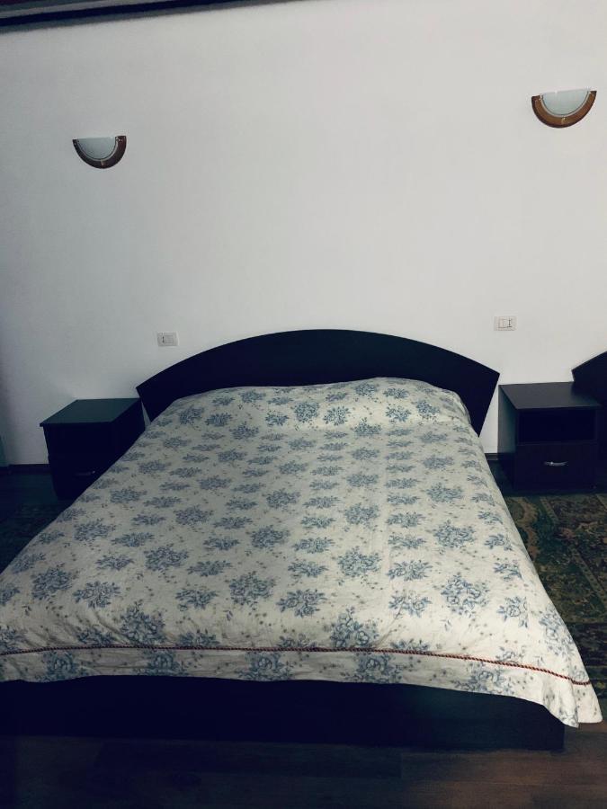 Pensiunea Pietrosul Borşa Εξωτερικό φωτογραφία