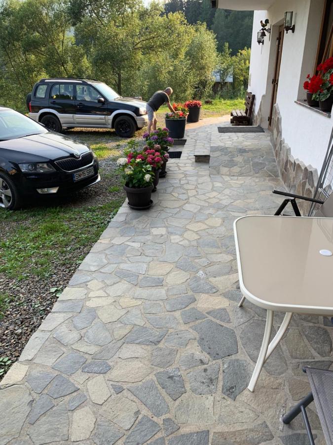 Pensiunea Pietrosul Borşa Εξωτερικό φωτογραφία